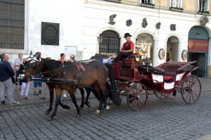 Yet more carriage rides