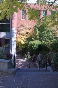 Stairs by Gwinn Commons (where Daniel works)