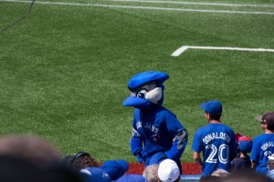 Ace the Blue Jays mascot