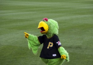 Pirate Parrot