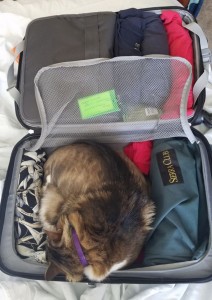 Stowaway