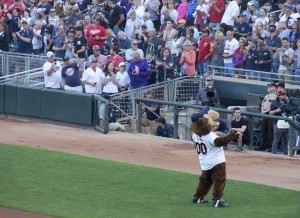 T.C. Bear - the mascot