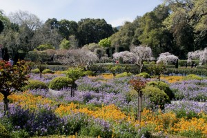 Filoli Mansion and Gardens