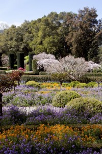 Filoli Mansion and Gardens