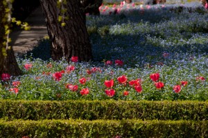 Filoli Mansion and Gardens