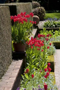 Filoli Mansion and Gardens