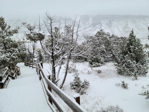 Snowy boardwalk