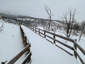 Snowy boardwalk