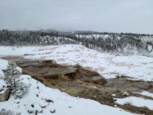 Mammoth Hot Springs