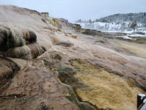 Mammoth Hot Springs