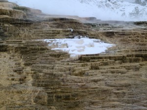 Mammoth Hot Springs