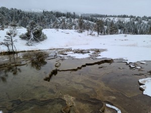 Mammoth Hot Springs