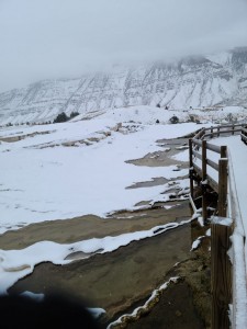 Mammoth Hot Springs