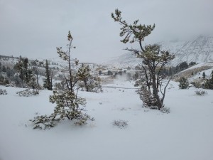 Snowy view of the village (Les)