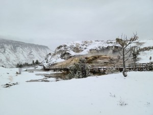 Mammoth Hot Springs