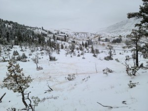 Mammoth Hot Springs