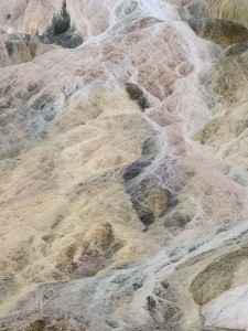 Mammoth Hot Springs