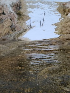 Mammoth Hot Springs