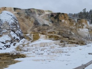 Mammoth Hot Springs