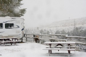 Snowy morning (w/ elk)