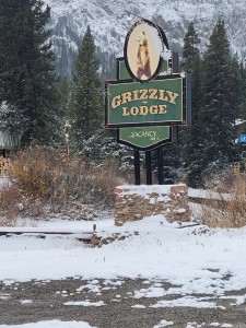 Grizzly Lodge