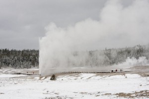 Yellowstone - Day 6