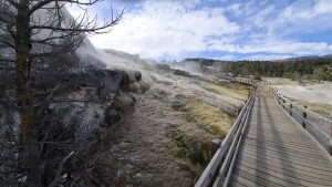 Yellowstone 2021 - Favorites