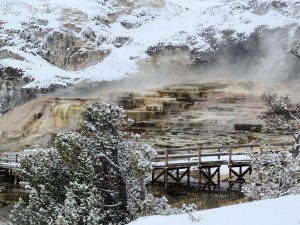 Mammoth Hot Springs