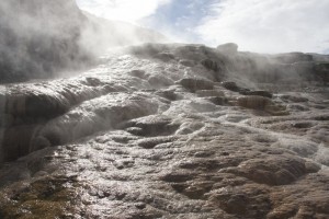 Mammoth Hot Springs