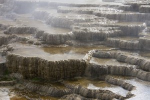 Mammoth Hot Springs