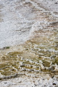 Mammoth Hot Springs