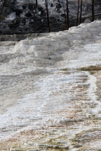 Mammoth Hot Springs