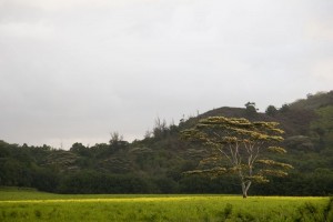 Kauai, HI