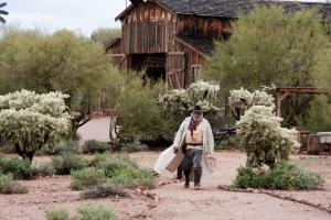 Cowboy, Apacheland, Phoenix, AZ