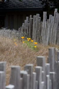 Carmel, CA