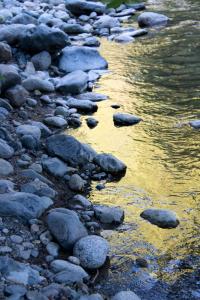 Yuba River, Sierra City, CA