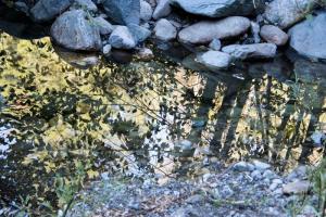 Yuba River, Sierra City, CA