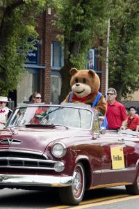 The Fred Meyer Bear