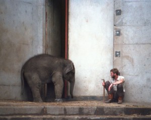 elephant_keeper