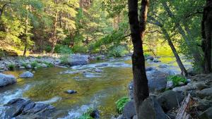 Yuba River