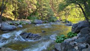 Yuba River