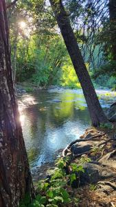 Yuba River