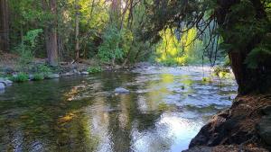 Yuba River