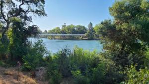 Sacramento River