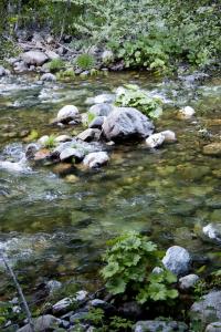 Yuba River