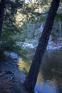 Yuba River at sunrise