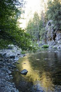 Yuba River at sunrise