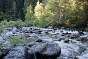 Yuba River