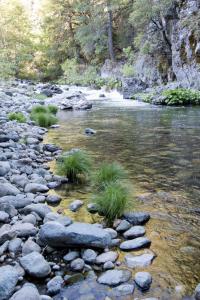 Yuba River