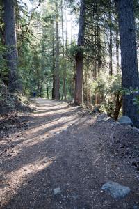 The trail back to the hotel